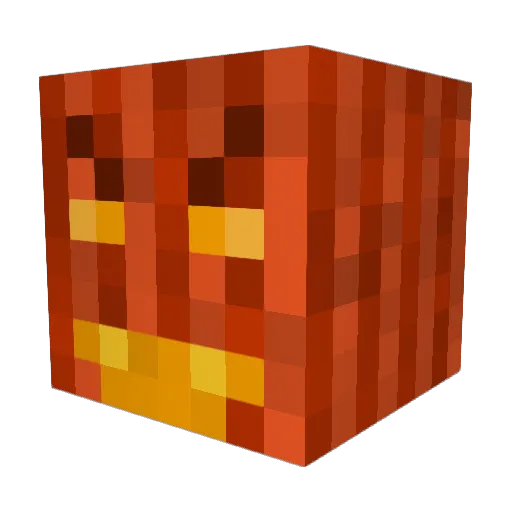 CoolDudeNick Minecraft avatar head, 3D render