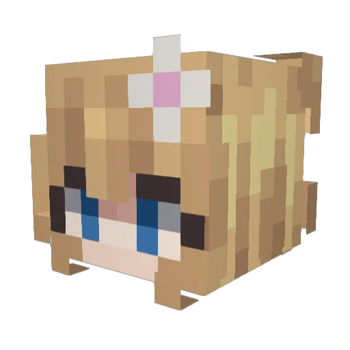 CoolFantasia Minecraft avatar head, 3D render