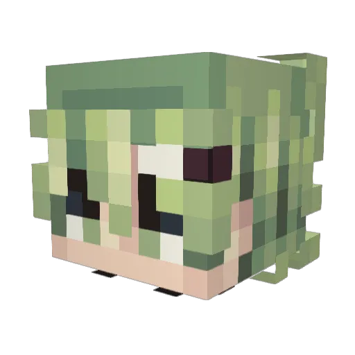 CoolFunnyJames Minecraft avatar head, 3D render