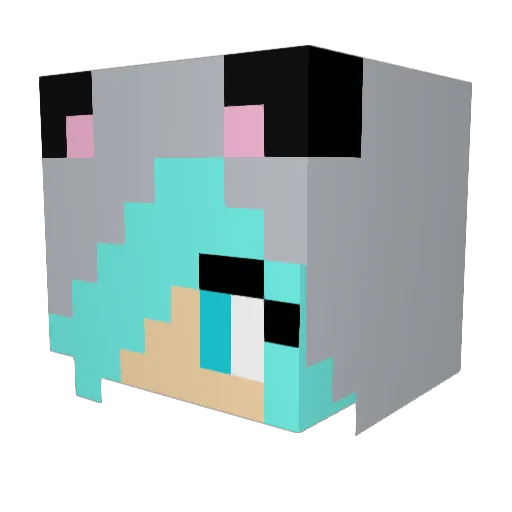 CoolGal1113 Minecraft avatar head, 3D render
