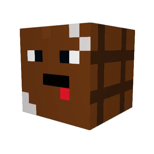 CoolGamer_007 Minecraft avatar head, 3D render