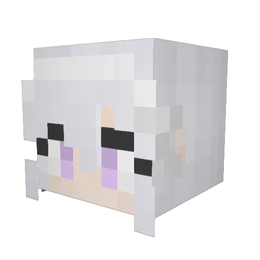 CoolGenius Minecraft avatar head, 3D render