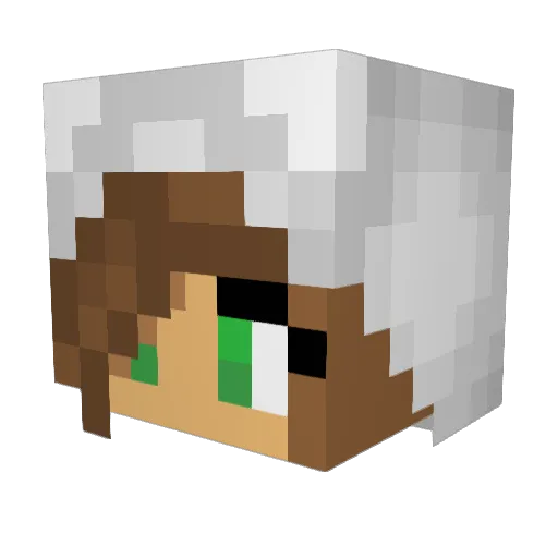 CoolGirl2626 Minecraft avatar head, 3D render