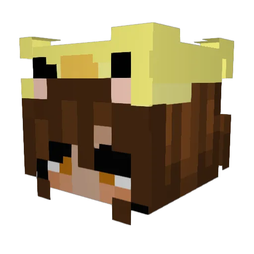 CoolGirlMM Minecraft avatar head, 3D render