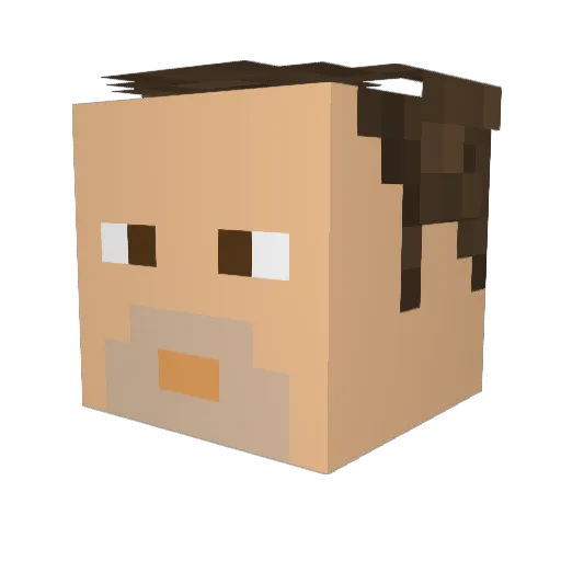 CoolGuy111 Minecraft avatar head, 3D render