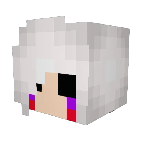 CoolGuy1313 Minecraft avatar head, 3D render