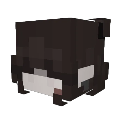 CoolGuy911 Minecraft avatar head, 3D render