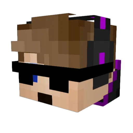 CoolGuy9506 Minecraft avatar head, 3D render