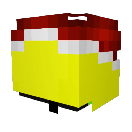 CoolGuyMiami Minecraft avatar head, 3D render