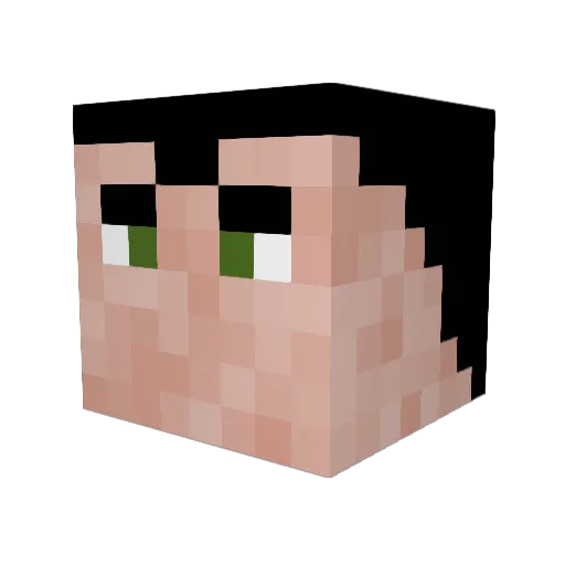 CoolHunter428 Minecraft avatar head, 3D render