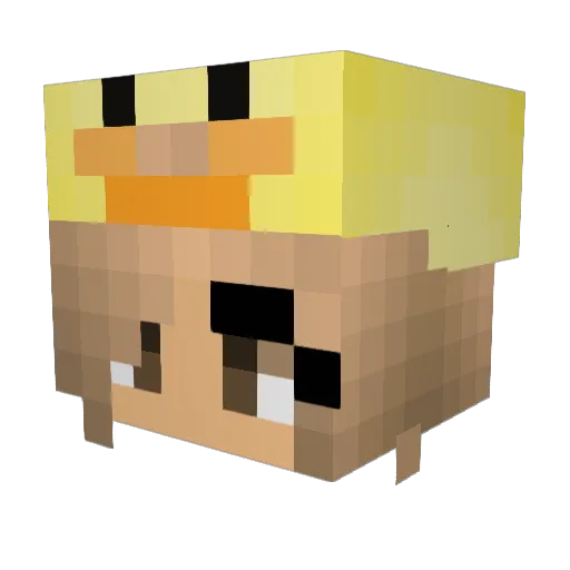 CoolKaczka2137 Minecraft avatar head, 3D render
