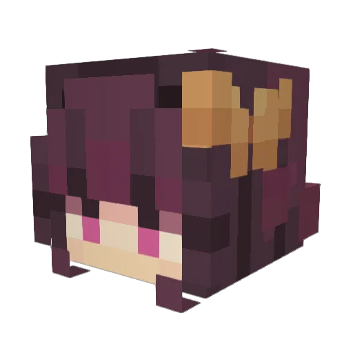 CoolKat4766 Minecraft avatar head, 3D render