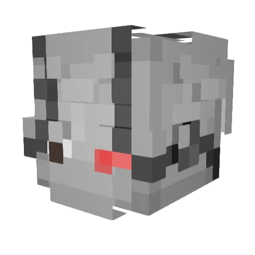 CoolKidHW49 Minecraft avatar head, 3D render