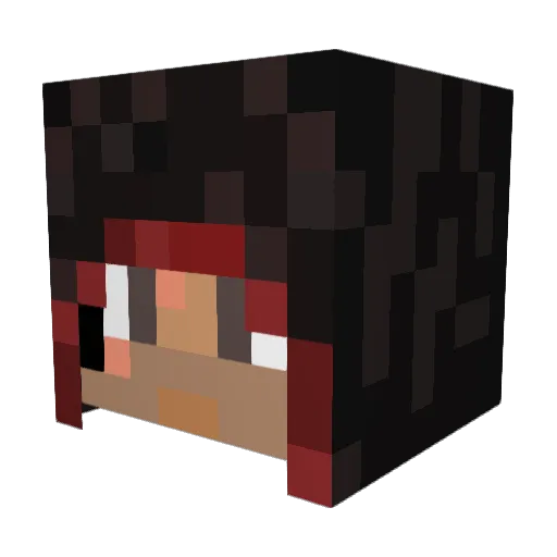 CoolKidLipsy Minecraft avatar head, 3D render