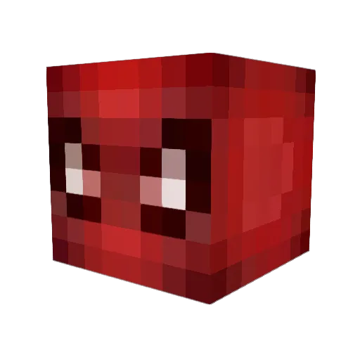 CoolKitty360 Minecraft avatar head, 3D render