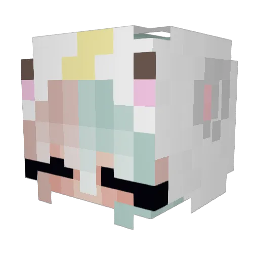 CoolKittyCat555 Minecraft avatar head, 3D render