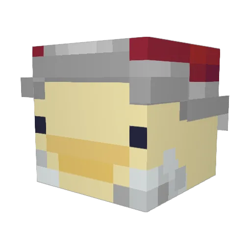 CoolManFeesh101 Minecraft avatar head, 3D render