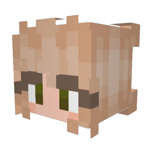 CoolManJG Minecraft avatar head, 3D render