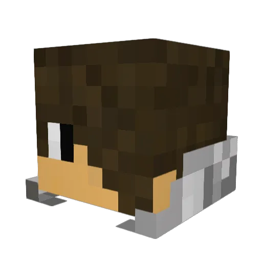 CoolMatt06 Minecraft avatar head, 3D render