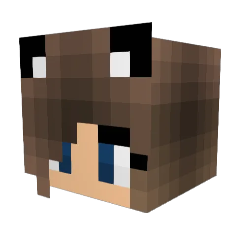 CoolMe833 Minecraft avatar head, 3D render