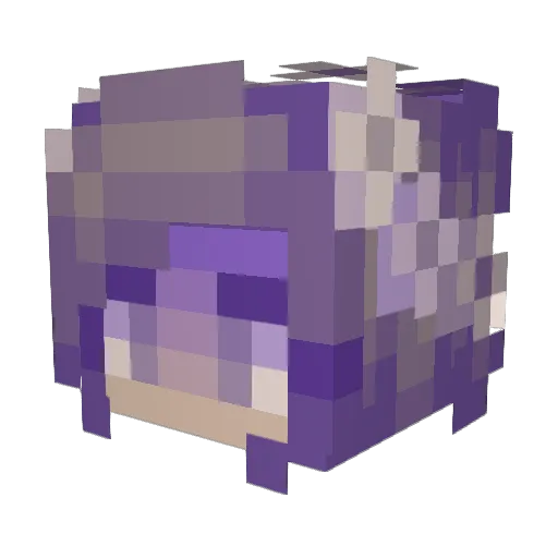 CoolNamePending1 Minecraft avatar head, 3D render