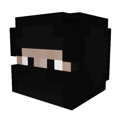 CoolNinja1375 Minecraft avatar head, 3D render