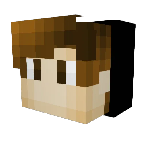 CoolNinja55 Minecraft avatar head, 3D render