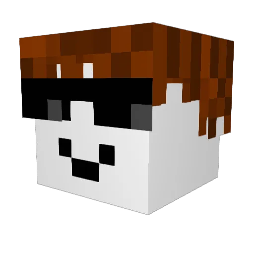 CoolOMachin Minecraft avatar head, 3D render