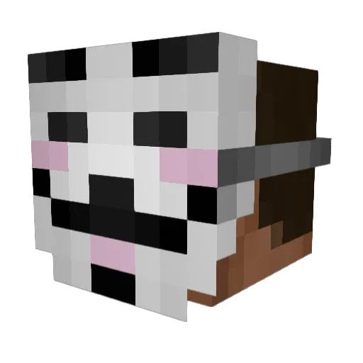 CoolPeanut Minecraft avatar head, 3D render
