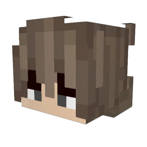 CoolPj39 Minecraft avatar head, 3D render
