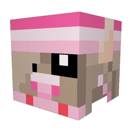 CoolPoke Minecraft avatar head, 3D render