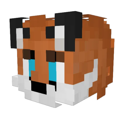 CoolPony2984 Minecraft avatar head, 3D render