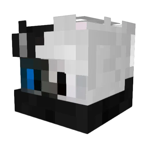 CoolRager Minecraft avatar head, 3D render