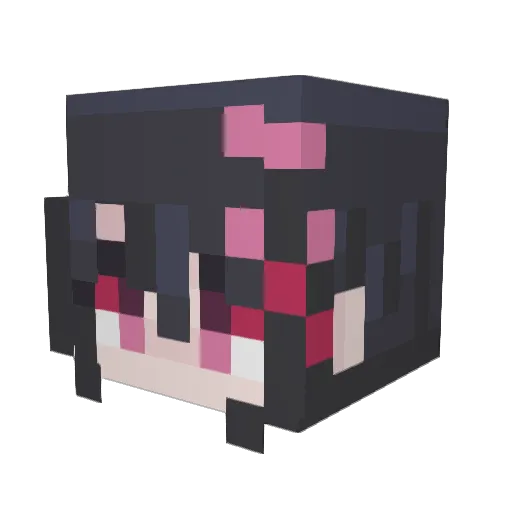 CoolSkeleton95 Minecraft avatar head, 3D render