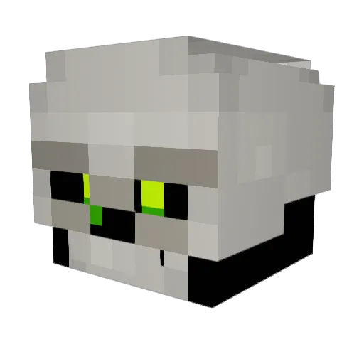 CoolSkull04 Minecraft avatar head, 3D render