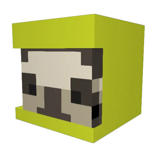 CoolSloth3 Minecraft avatar head, 3D render