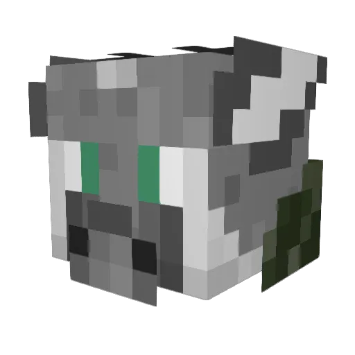 CoolSocrates Minecraft avatar head, 3D render