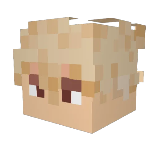 CoolSpoonLord Minecraft avatar head, 3D render