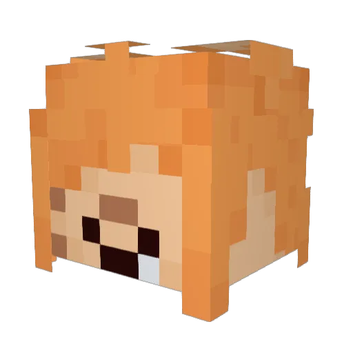 CoolSpring1 Minecraft avatar head, 3D render