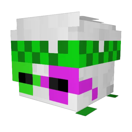 CoolToady19 Minecraft avatar head, 3D render