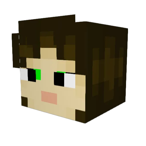 CoolToan Minecraft avatar head, 3D render