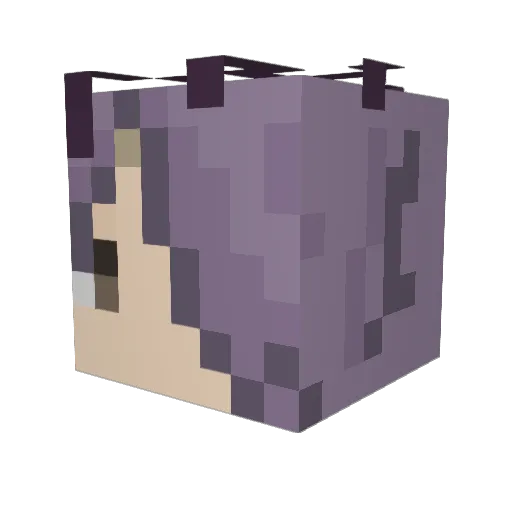 CoolType0205 Minecraft avatar head, 3D render