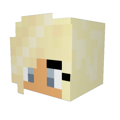 CoolUnicorn2002 Minecraft avatar head, 3D render