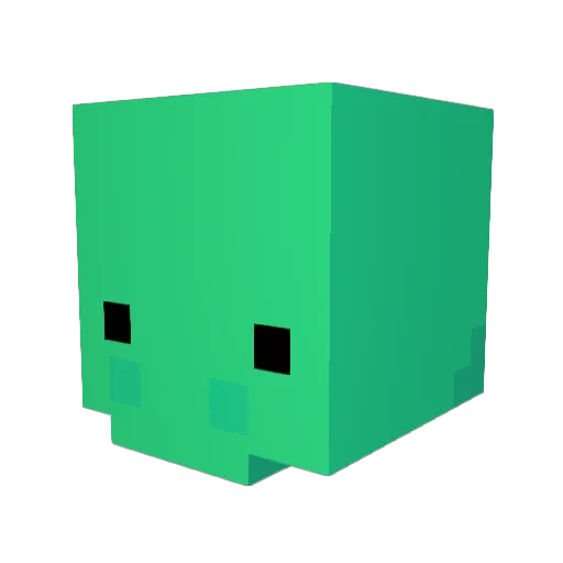CoolWarrior13 Minecraft avatar head, 3D render