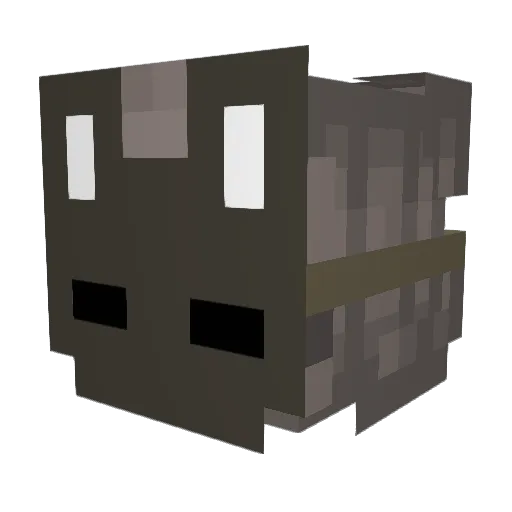 CoolWaters Minecraft avatar head, 3D render