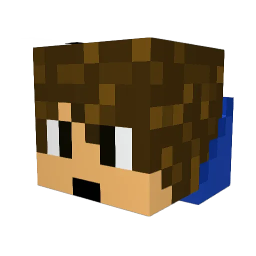 CoolYanni Minecraft avatar head, 3D render