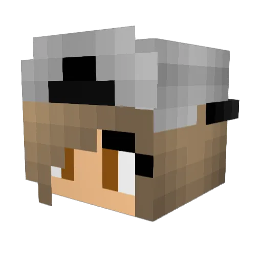 Cool_05 Minecraft avatar head, 3D render