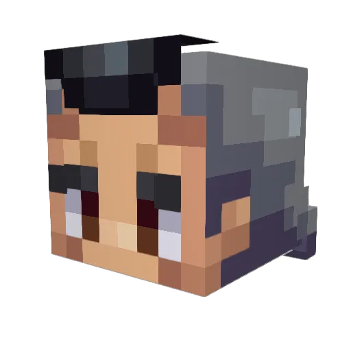 Cool_Alias Minecraft avatar head, 3D render