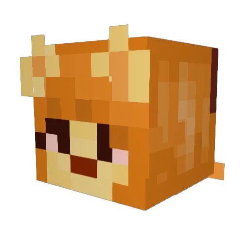 Cool_Ceroba Minecraft avatar head, 3D render