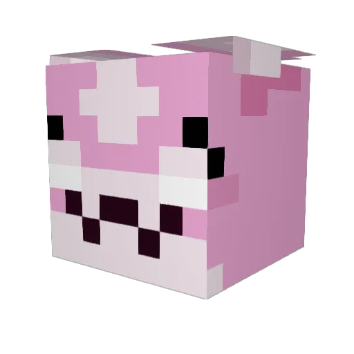 Cool_Fish222 Minecraft avatar head, 3D render